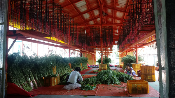 상주구마이마을6-작업