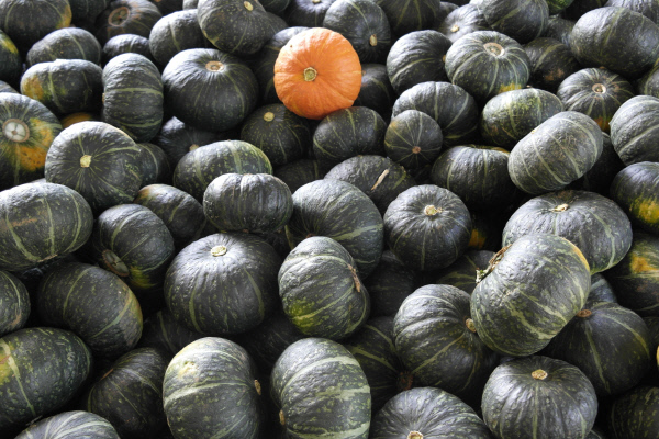 문경우로실마을9