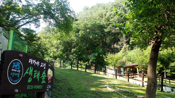 고령신리마을2-생태숲