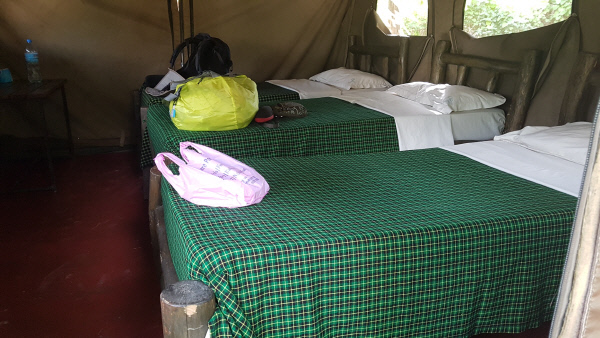 탄자니아타랑기레국립공원-0