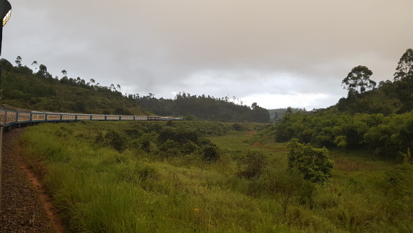 타자라열차풀경