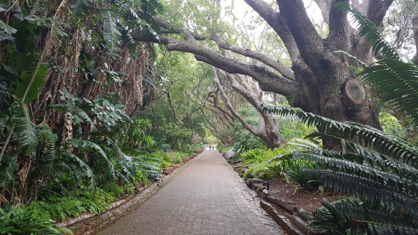 커스텐보쉬식물원