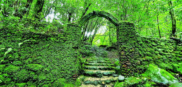 효명사콩자개난