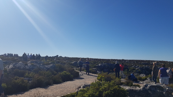 테이블마운틴-1