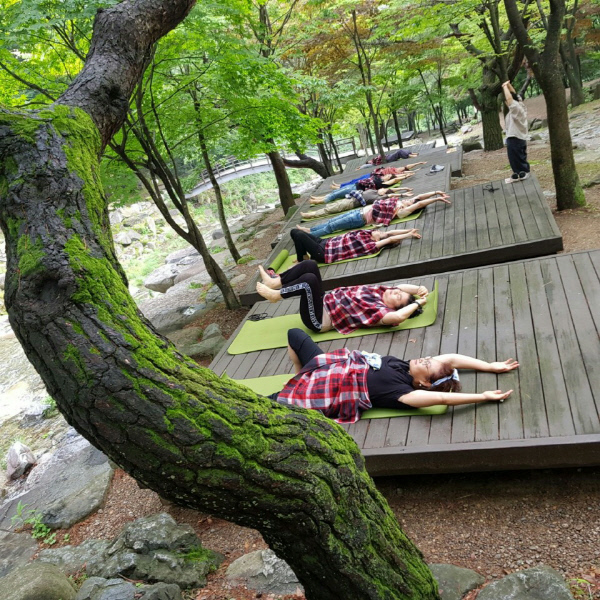 비슬산산림치유모습