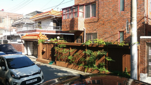 담장때문에식물은답답함을느낀다