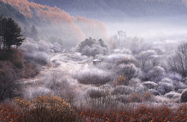 씨크릿가든의추경(1)