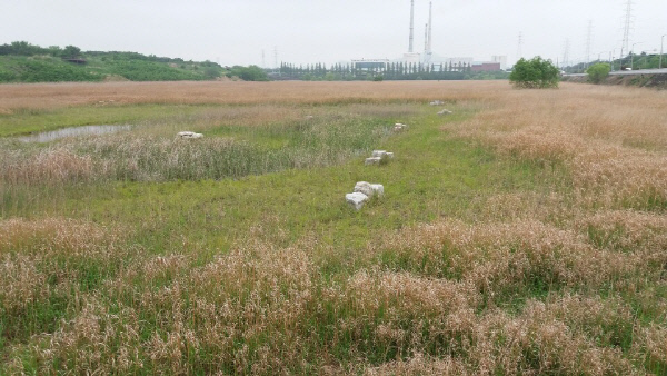 도심가까운-습지2