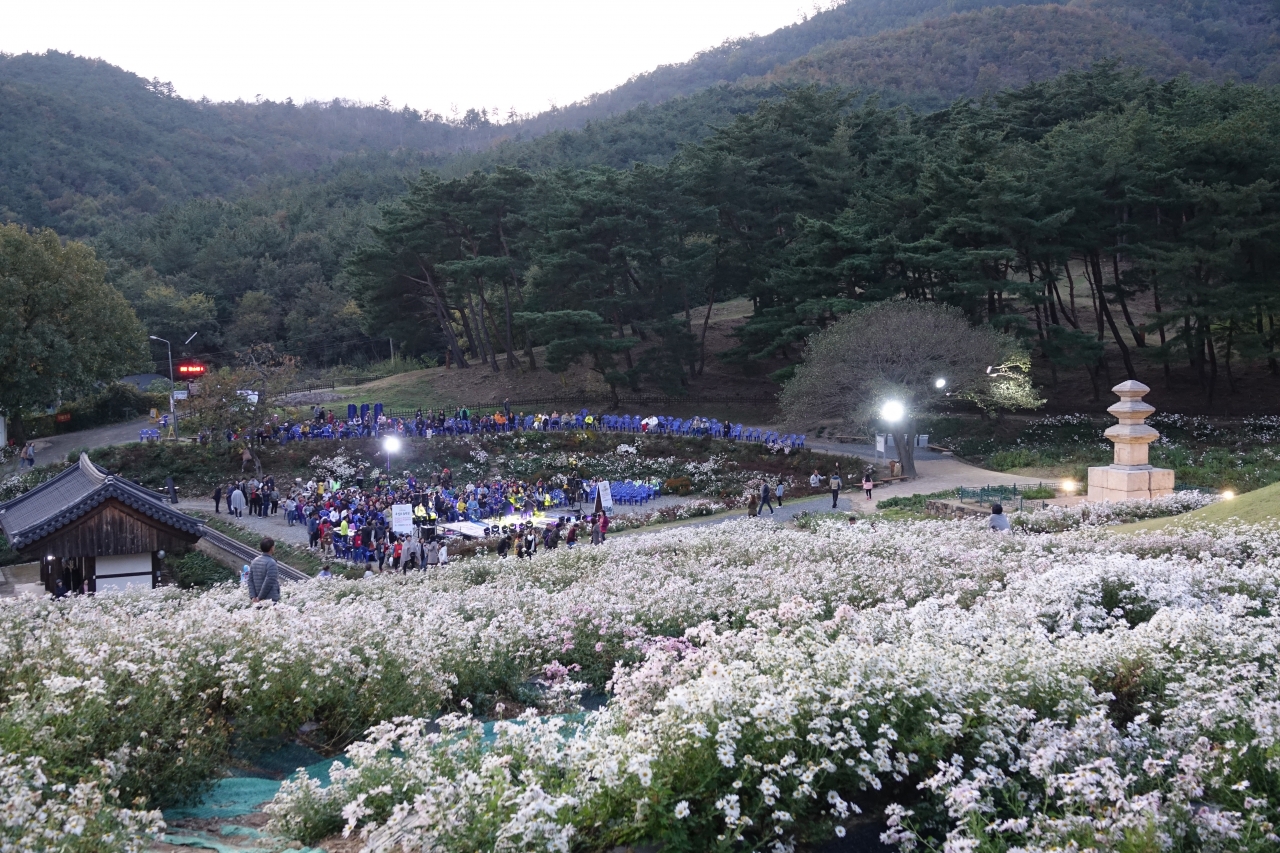 서악마을에 구절초가 피는 10월 중순이면 도봉서당 주차장에서 ‘구절초 음악회’가 열린다. 삼층석탑과 고분 주위로 선비의 기품을 닮은 구절초가 흐드러지게 펴 있는 풍경은 환상적이다.