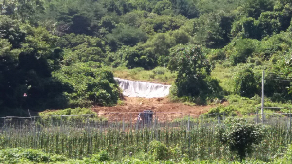 장마와홍수로사태가난산림의모습