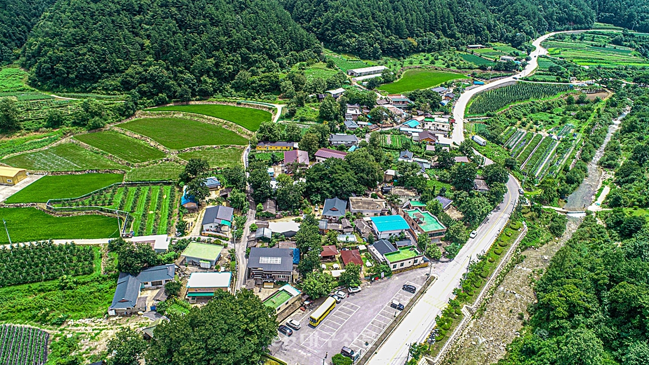 대가천을 따라 형성된 산간오지마을 중에서 유일하게 들이 넓은 지역이라 붙여진 평촌리, 그 중에서도 옛날솜씨마을이라 불리는 장뜰마을은 평촌리의 세 마을 중에서 가장 큰 마을로 마을 주변의 들이 넓어 장뜰로 불린다.전영호기자