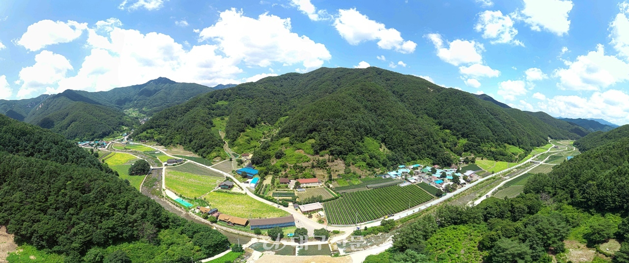 문경새재에서 백두대간을 따라 남서쪽으로 내려오면 청화산과 조항산 사이에 마치 항아리 모양처럼 안긴 궁터 별무리마을이 자리잡고 있다.백두대간이 감싸안은 마을은 물이 맑고 공기가 깨끗해 밤이면 별무리가 보인다.운이 좋으면 반딧불이도 만날 수 있다. 전영호기자