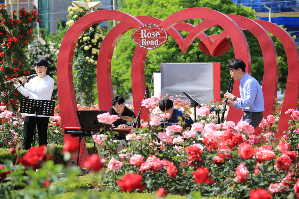 언택트장미축제