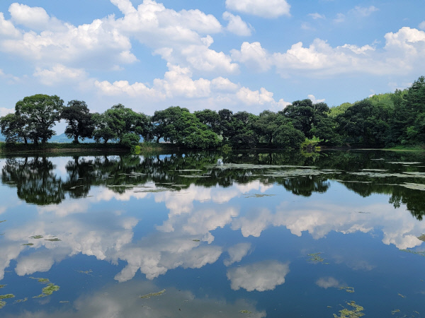 가볼만한곳-반곡지