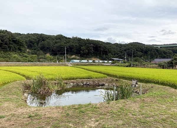 배상열이 천문을 관측하던 직방단