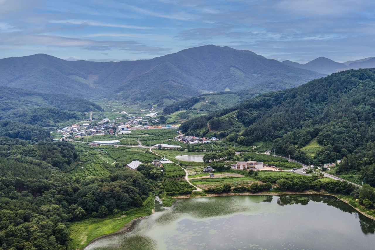 반곡지 농촌체험휴양마을은 일렬로 늘어선 왕 버드나무 군락과 이를 저수지에 반영하고 있는 특유의 풍광이 아름다운 저수지 ‘반곡지’에서 2.4km 떨어진 곳에 위치해있다. 주변에 사거지와 송내지가 있어 물, 햇빛, 바람이 중요한 과일 재배에 필요한 좋은 조건을 갖춰 주민의 90% 이상이 천도복숭아 농사를 짓는다.