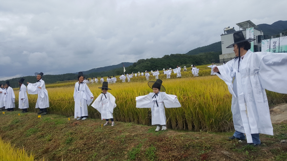 가을이면 누렇게 익은 벼 사이로 난 논두렁 위에서 흰 도포를 입고 갓을 쓴 사람들이 학춤을 추는 학수고대축제가 열린다.