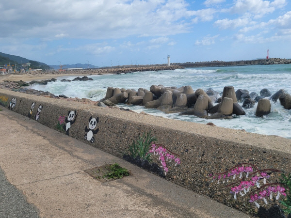 영덕마을이야기방파제