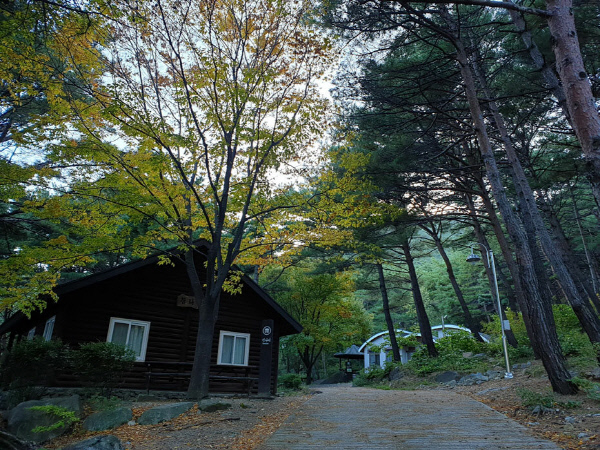 칠보산자연휴양림