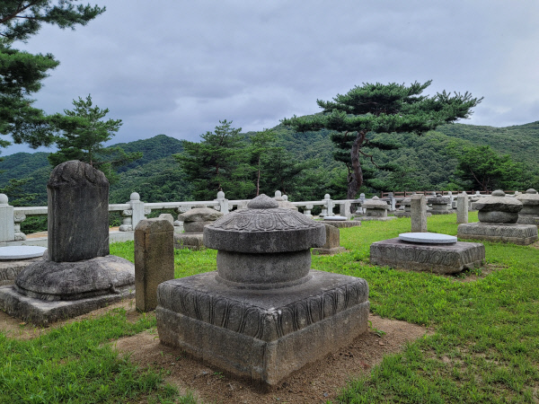 세종대왕자태실