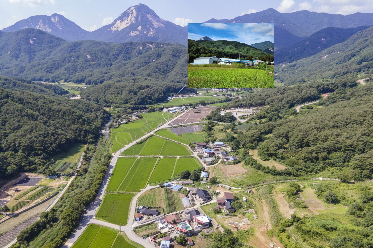 행정구역상으로 문경시 가은읍 원북1리에 자리잡고 있는 희양산마을은 전통적인 의미의 마을은 아니다. 희양산마을은 농약과 화학비료를 쓰지 않고 친환경 농법으로 재배한 ‘희양산우렁쌀’을 생산·판매하는 영농조합법인이다.