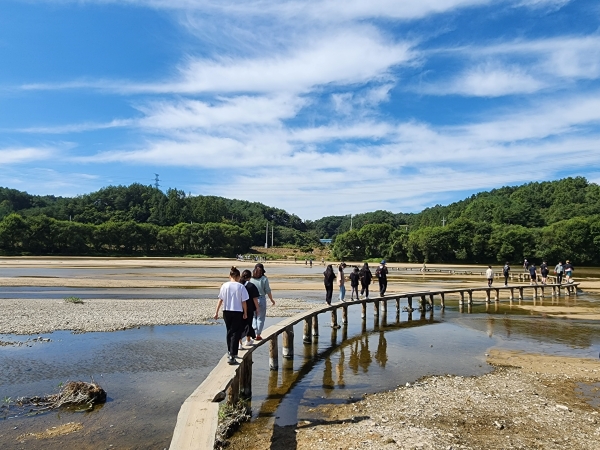 무섬마을의 상징 외나무다리는 인생사진을 찍을 수 있는 명소로 이름나 있다.