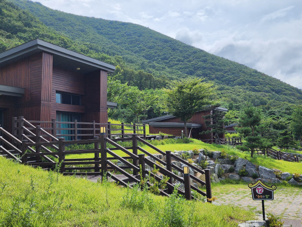 영천가볼만한곳-보현산자연휴양림