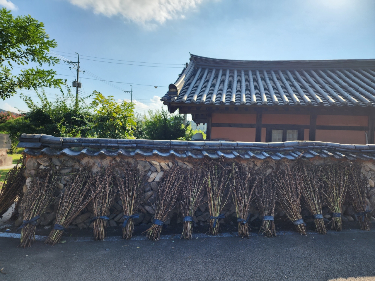 한옥과 토석담, 옛 정취를 그대로 간직하고 있는 개실마을. 깨를 수확해 말리기 위해 벽에 세워놓은 풍경이 정겹다.