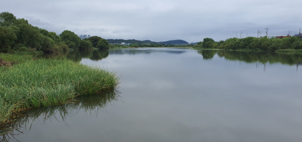 가볼만한곳-금호강
