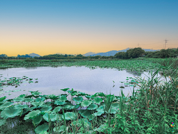 가볼만한곳-공검지