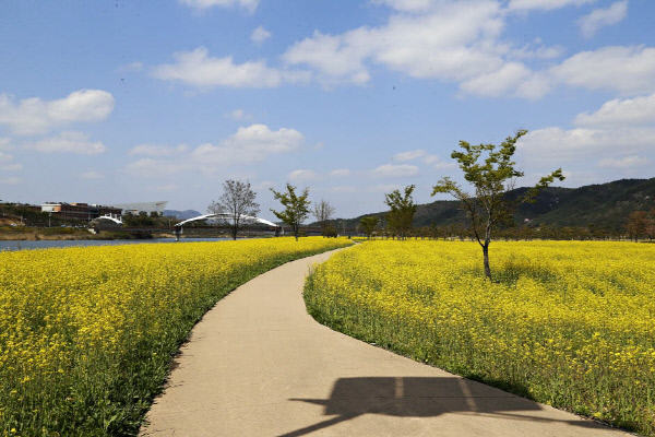 가볼만한곳경천섬