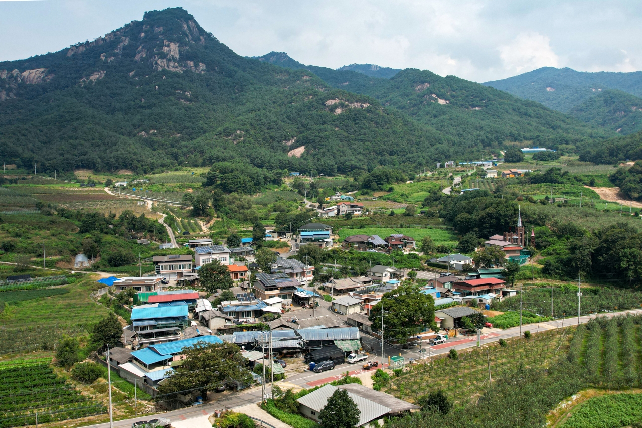 우리나라 백두대간 명산인 황장산 자락에 위치한 경북 문경시 동로면 생달리 오미자 정보화마을은 오미자재배의 적지로 해발고도 300m가 넘고 물이 잘 빠지는 토지여서 전국 ‘오미자 1번지’로 자리매김하고 있다. 김선국 객원사진기자