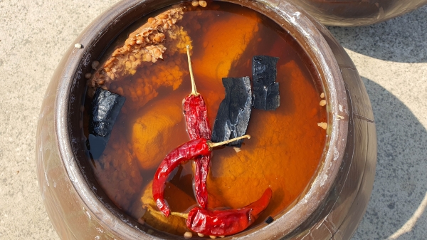 천일염으로 만든 소금물에 숙성 되고 있는 메주.