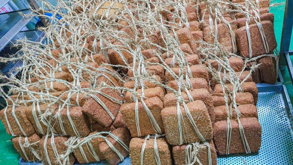 새끼줄을 꼬아 건조시키는 전통 방식의 메주