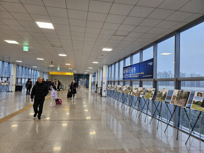 포항역 세계추모공원 사진전시회 사진