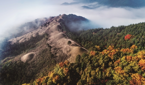 세계유산으로 등재된 고령 지산동고분군 가을 전경
