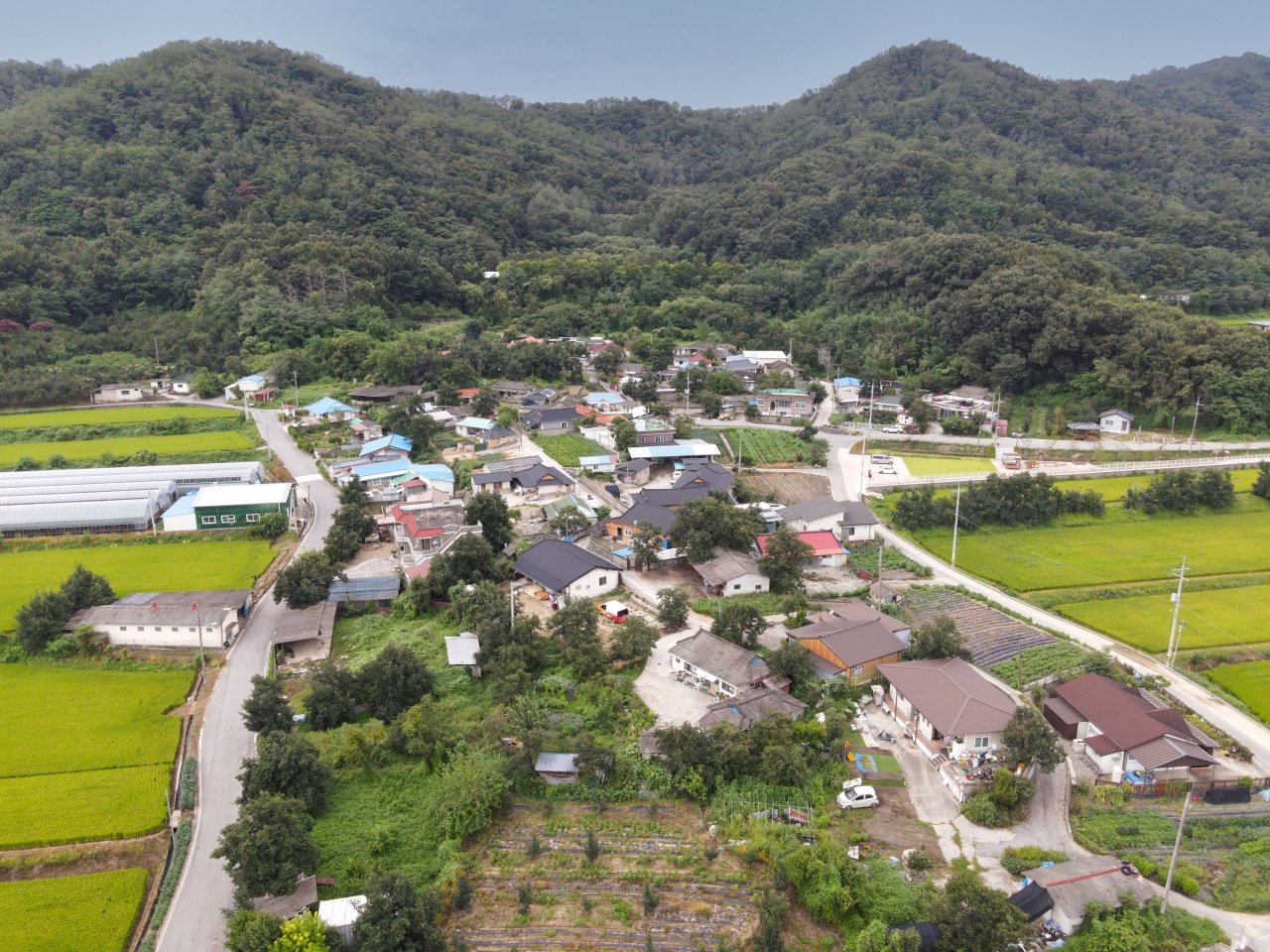 상주시 낙동면 신상1리는 찬란한 문화유산이나 유명 인물, 뛰어난 자연경관, 특산물도 없는 평범한 마을이었지만 마을주민들이 합심하여 명품마을로 만들어냈다. 김선국 사진작가