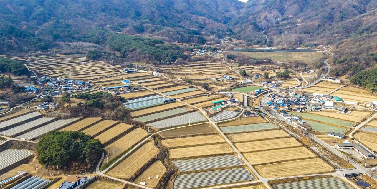 고령군 대가야읍 신리 녹색농촌체험마을은 경상북도와 경상남도의 경계를 이루는 미숭산 기슭에 자리 잡아 예로부터 공기 좋고 물 맑은 청정 지역으로 손꼽혔다. 우렁이농법을 이용해 재배한 무농약 쌀은 전국 최고의 품질을 자랑하며 미숭산의 산림에서 나오는 산나물과 송이는 전국적으로 유명하다. 사람과 자연이 어우러지는 다양한 체험프로그램도 경험할 수 있다. 김선국 사진작가