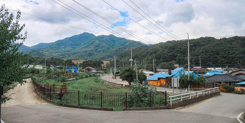신리마을을 감싸고 있는 미숭산