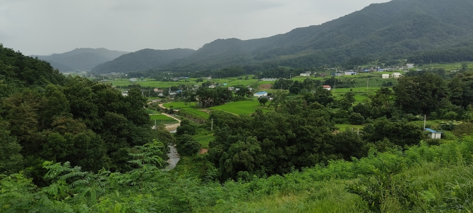 신리저수지에서 내려다본 신리마을