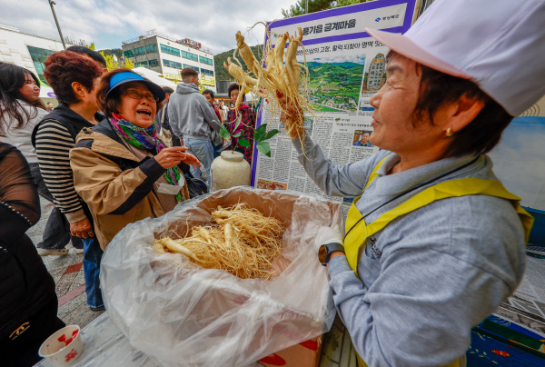 인삼보고가세요