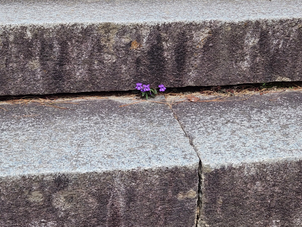 틈-김종원-장려