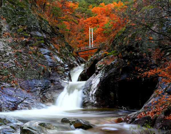 울진군-덕구계곡