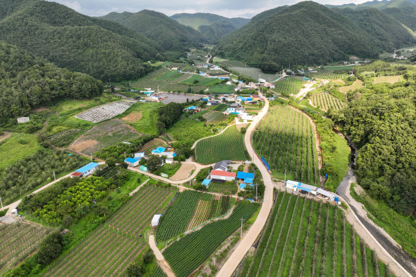 포항시 북구 죽장면 상사리는 해발 450m에 자리잡고 있다. 얼마전까지만 해도 휴대폰 신호도 잘 잡히지 않던 오지 중의 오지 마을이었지만 최근 명품 된장마을로 국내외에서 주목을 받고 있다. 김선국 사진작가
