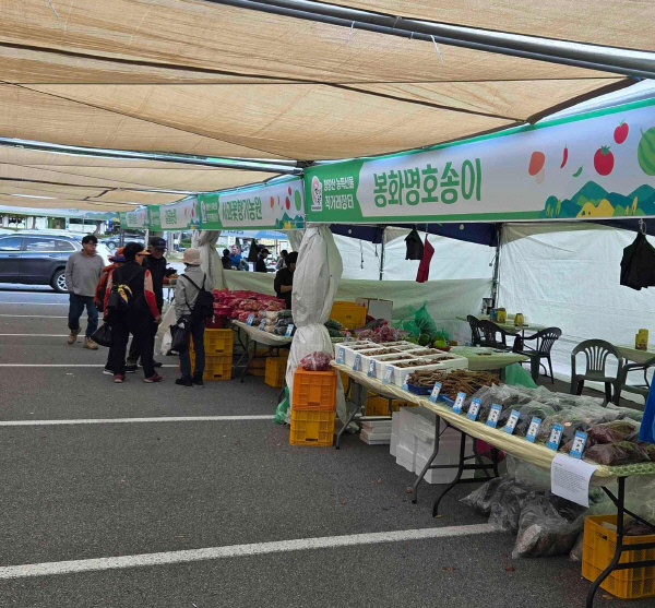 가을단풍철맞이봉화청량산농특산물직거래장터개장