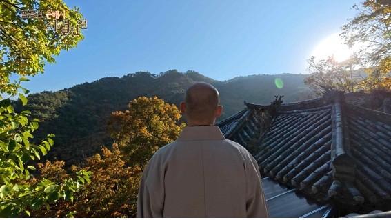 BBS불교방송 TV다큐멘터리 ‘팔공산 은해사,시절인연’의 한 장면. BBS 불교방송 제공 