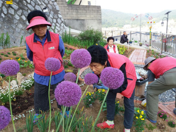 김천자산골새뜰마을