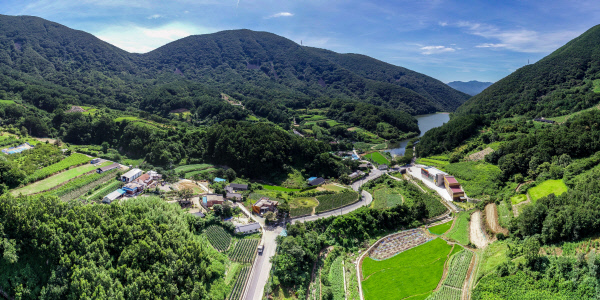 마을이야기-영천