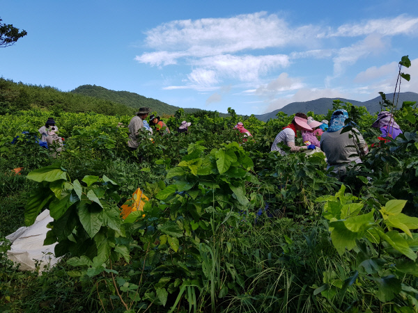 마을이야기-영천-마을사람들