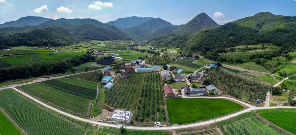 청송괴정꽃돌마을8